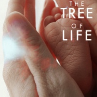 解讀電影《生命樹》 ── “我立大地根基的時候，你在哪裡呢？”